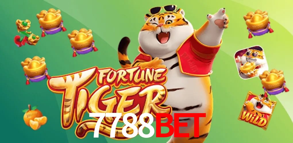 Experiência VIP 7788Bet